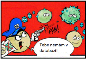 NK cell1