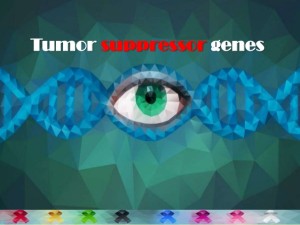 tumour-suppressor-genes